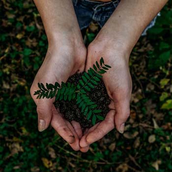 Licenciamento Ambiental em Santa Cecília